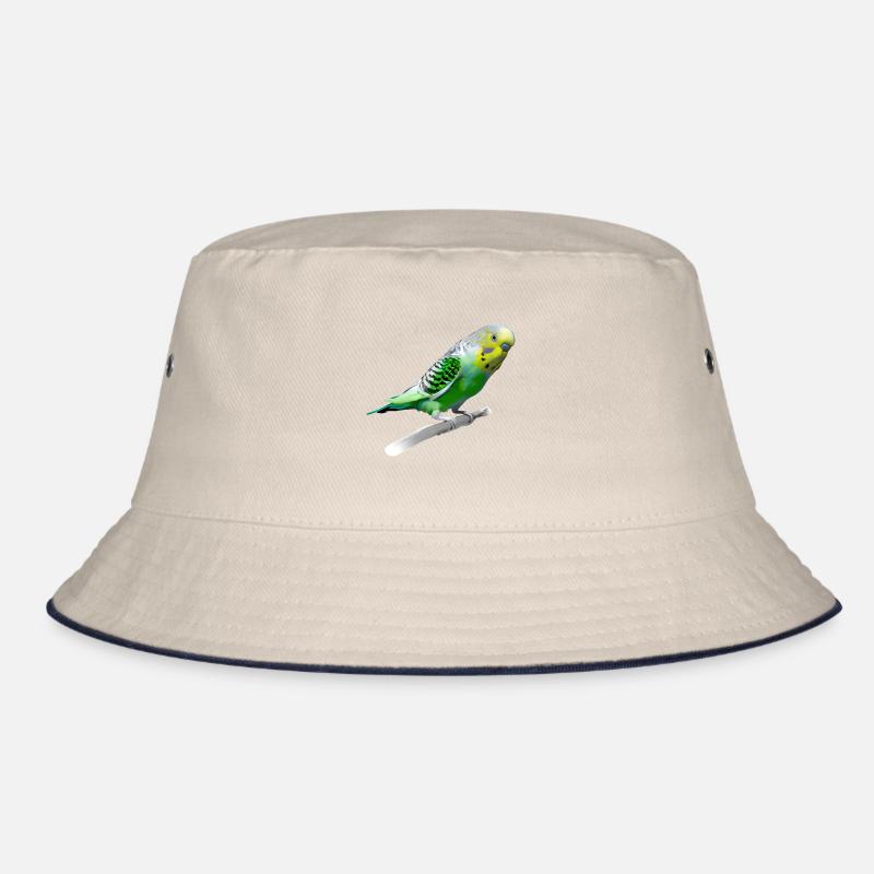 Perruche sucrée Bob