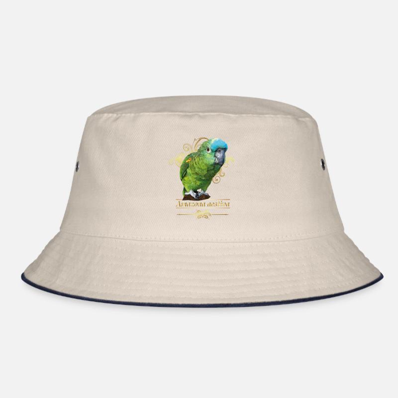 Amazone à front bleu Bob