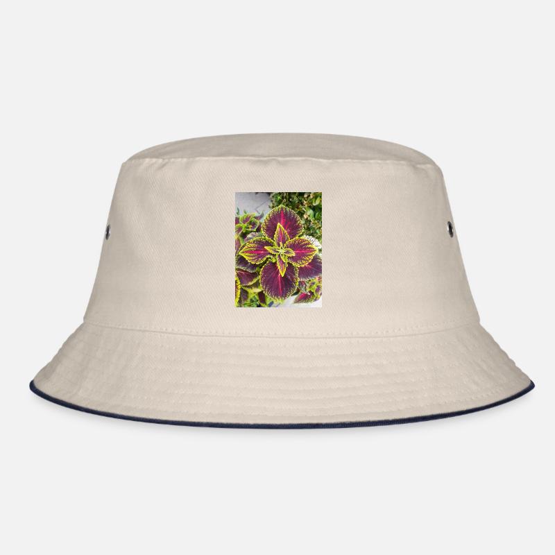 Josephs Mantel auch chinesischer Amaranth Bucket Hat