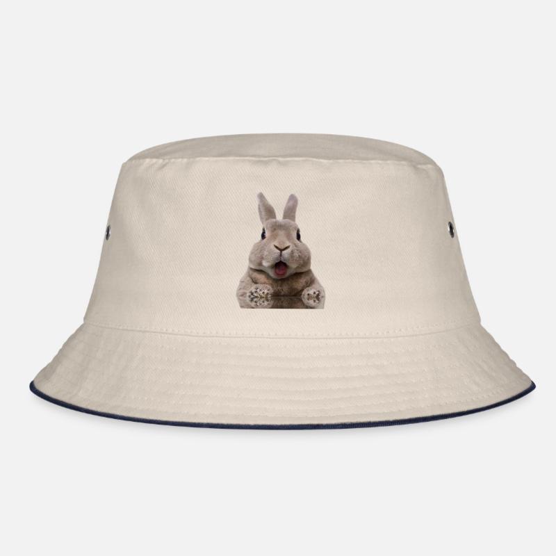 Lapin Bob