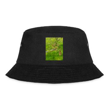 Noyer de Perse aussi noyer commun Juglans regia - Bob - noir - Devant - Lela (165cm)