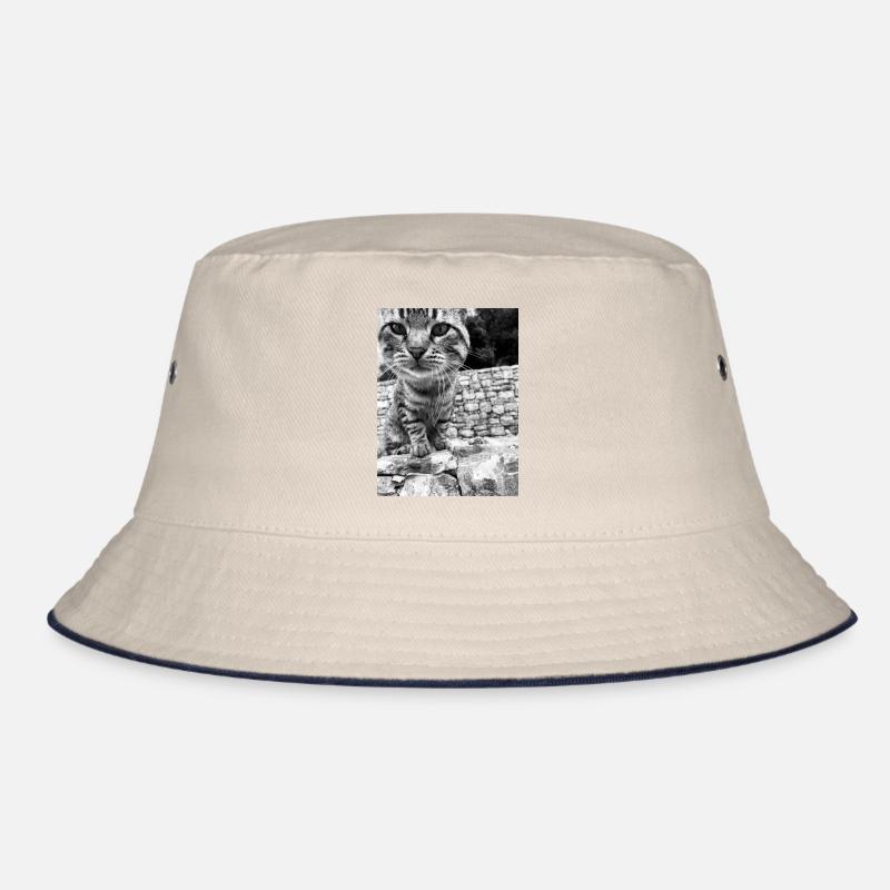 Chat Pull Hommes Femmes Enfants Bob