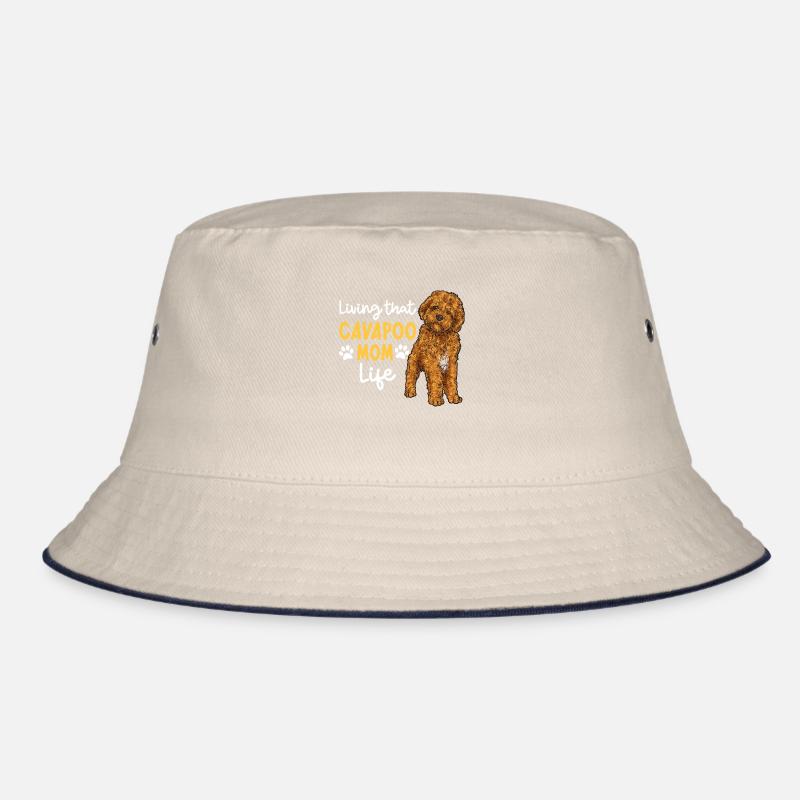 Cavapoo Cavoodle Capoodle Chien Bob