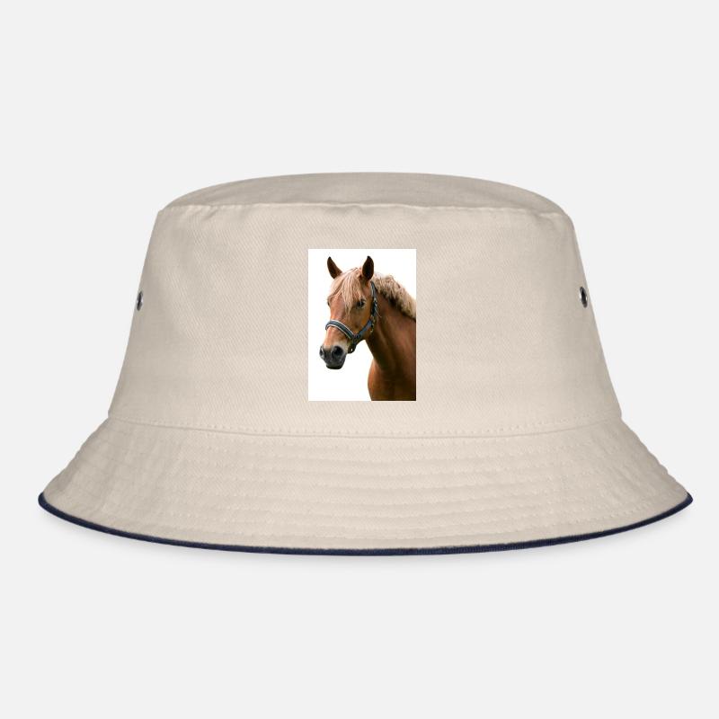 Cheval. Cheval. Bob