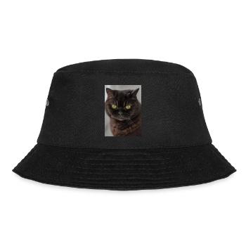 Britisch Kurzhaar Grüne Augen - Bucket Hat - Schwarz - Vorne - Lela (165cm)