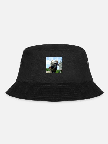Esel - Bucket Hat - Schwarz