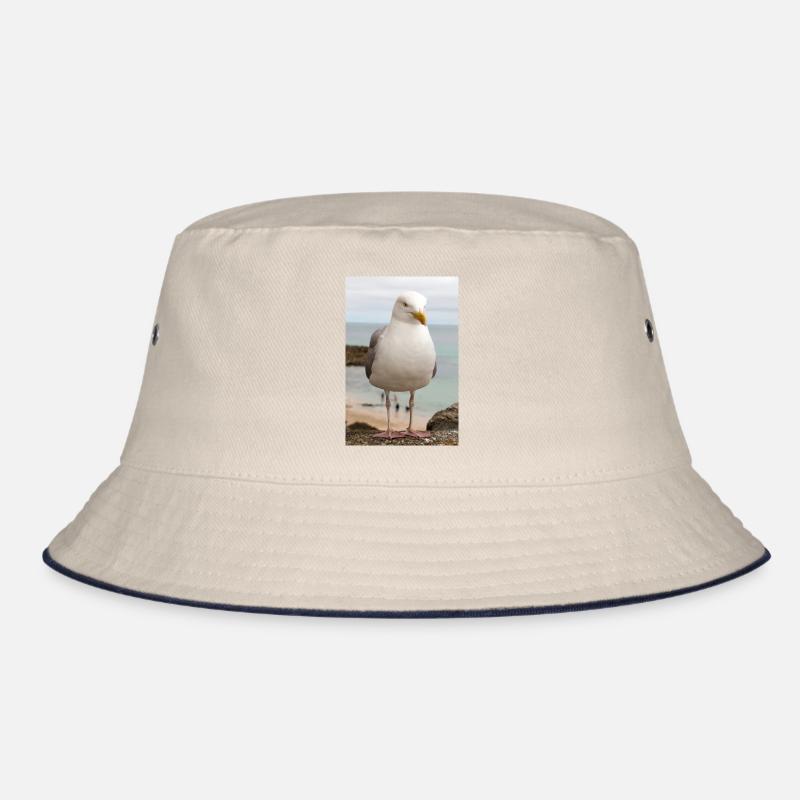 Herring Gull (Larus argentatus) on the beach Gull Bucket Hat