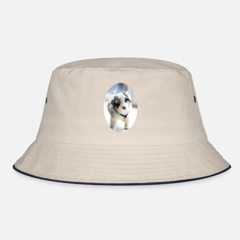 Ein ganz junger Australien Shepherd Bucket Hat