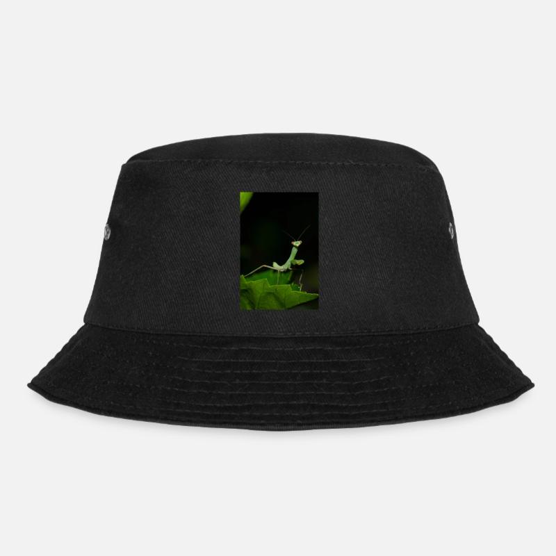Wilde Mantodea Spezies auf Kreta - Bucket Hat - Schwarz
