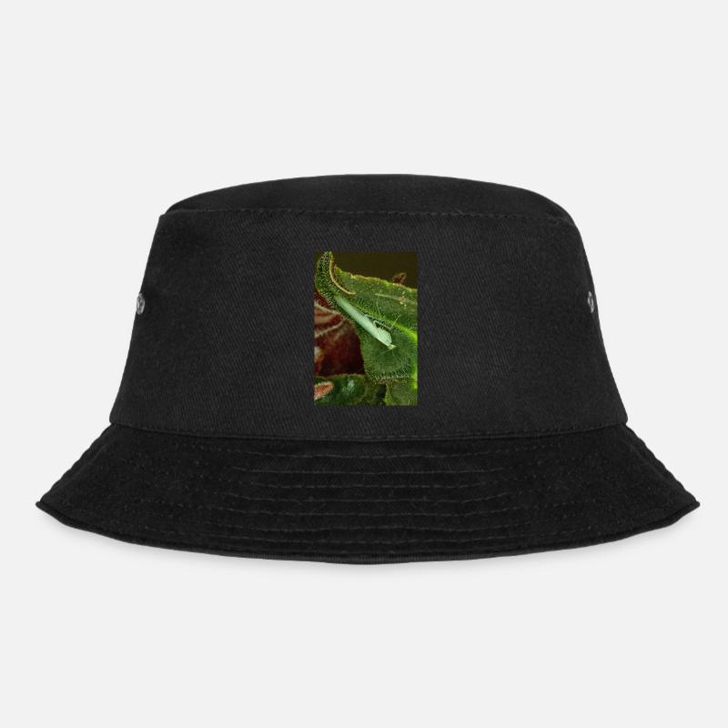 Tropidomantis cf tenue - Bucket Hat - black