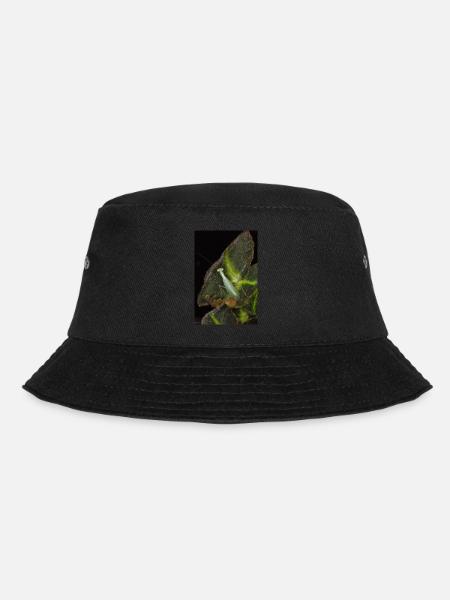 Tropidomantis cf tenue - Bucket Hat - black