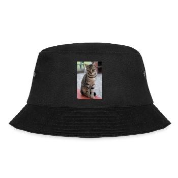 Katze Kätzchen Poster Katzenposter - Bucket Hat - Schwarz - Vorne - Lela (165cm)