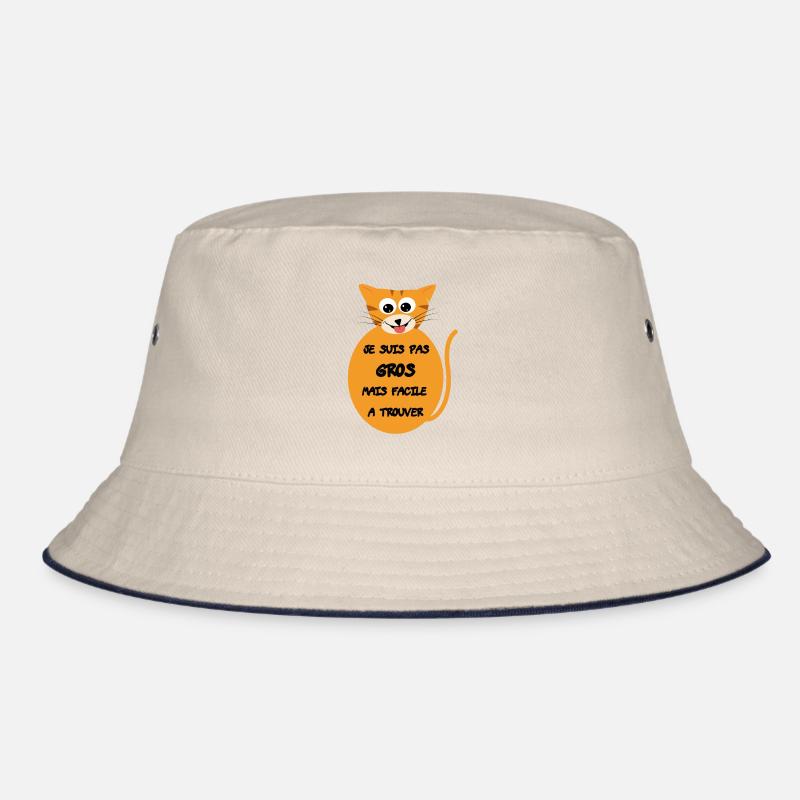 Chat enrobé mignon Bob