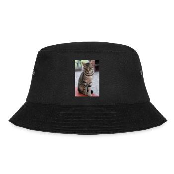 chat, chaton - Bob - noir - Devant - Lela (165cm)