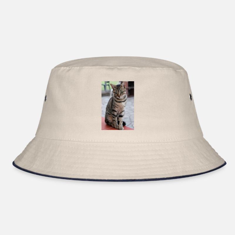 Katze, Kätzchen Bucket Hat