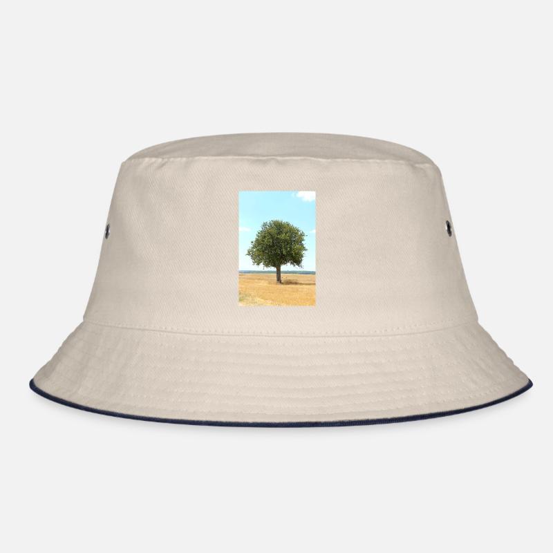 Arbre, Environnement, Nature Bob