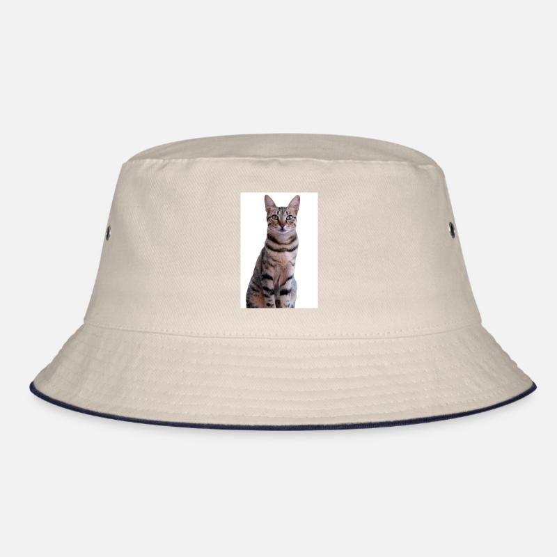 Katze Kätzchen Bucket Hat