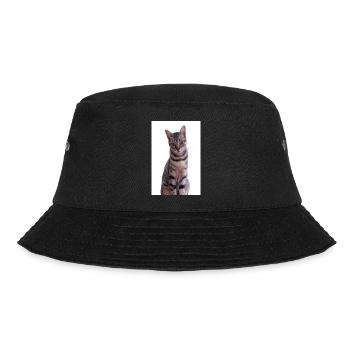 Cat Cats Kitten Tiger Cat - Bucket Hat - black - Front - Lela (165cm)