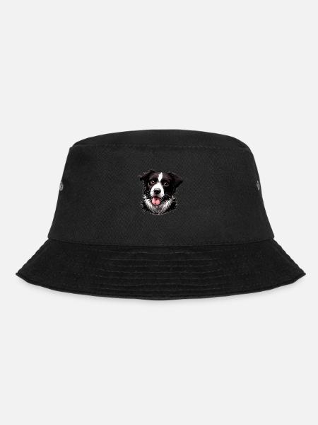 Border Collie - Bob - noir