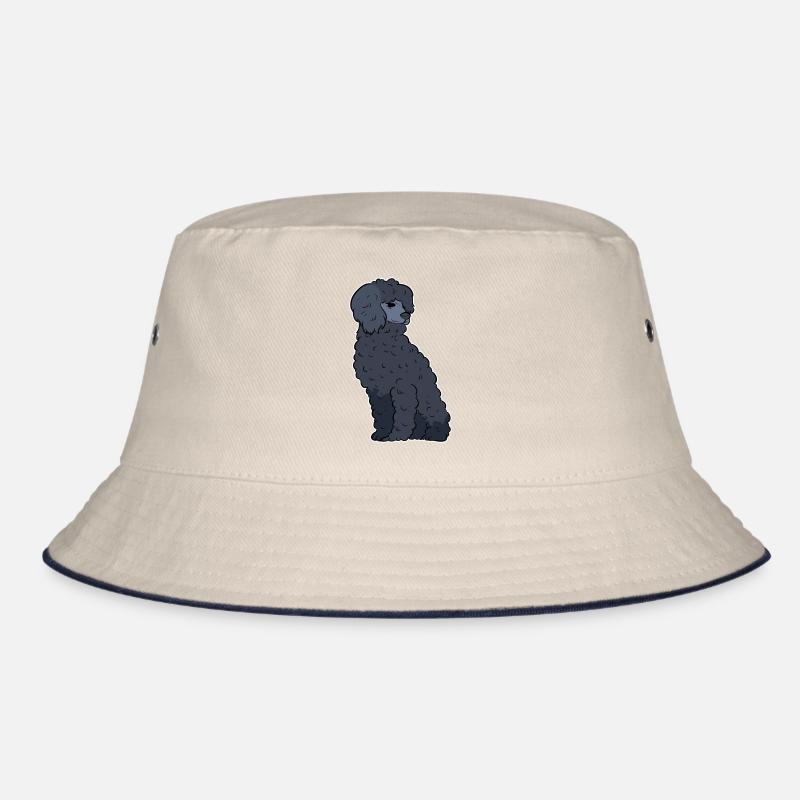 Caniche Chien Nain Caniche Jouet Caniche Petit Caniche Chiot Chiot Bob