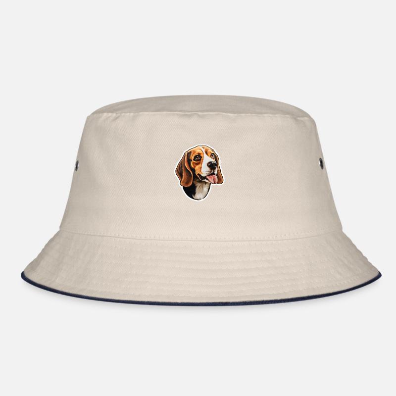 Tête de beagle Bob
