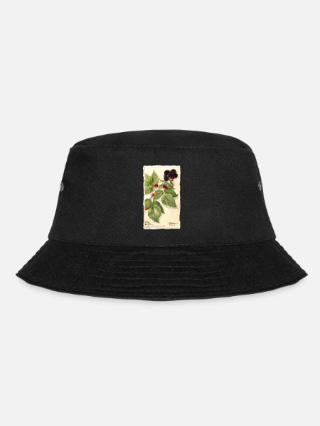 brombeeren garten rot beeren illustration vintage - Bucket Hat - Schwarz