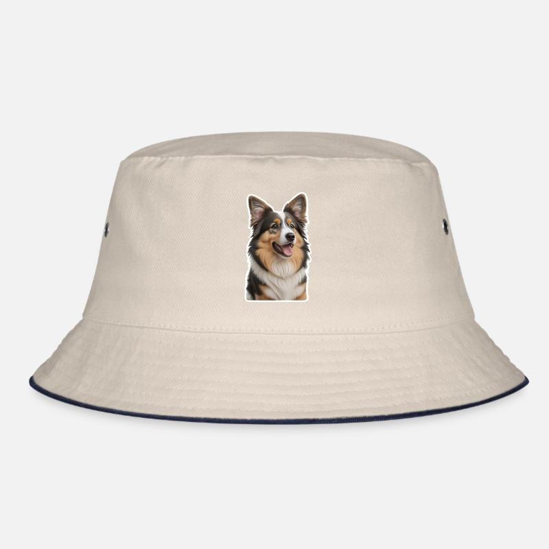 colley Bob