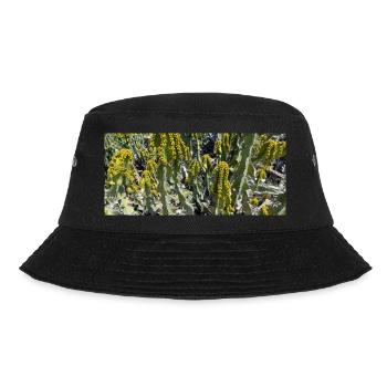 Kanarischer schöner Kaktus - Bucket Hat - Schwarz - Vorne - Lela (165cm)