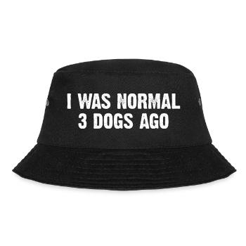 I Was Normal 3 Dogs Ago - Bucket Hat - black - Front - Lela (165cm)