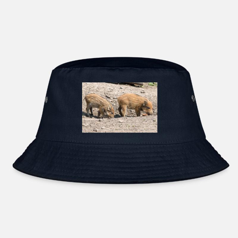 Sanglier Sanglier (Sus scrofa) Bob