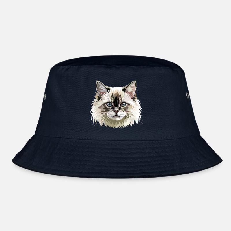 Chat Birman Chat Birman Sacré Chat Birman Mignons Chats Birman Bob