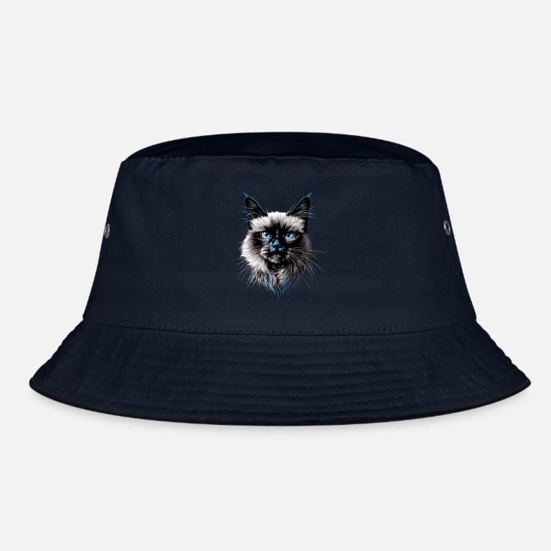 Chat Birman Chat Birman Sacré Chat Birman Mignon Chats Birmans Bob