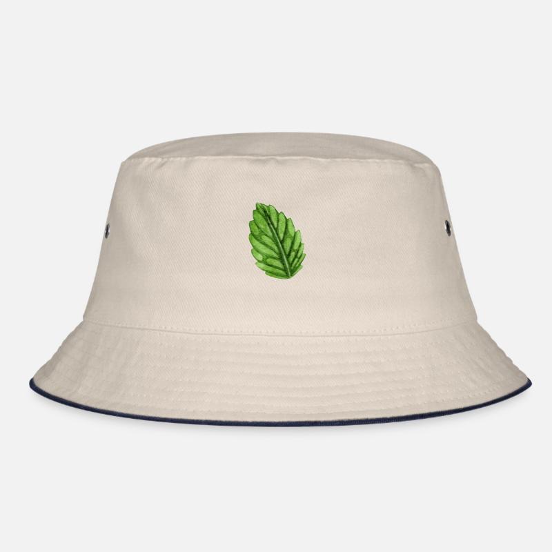 Menthe menthe mint Bob