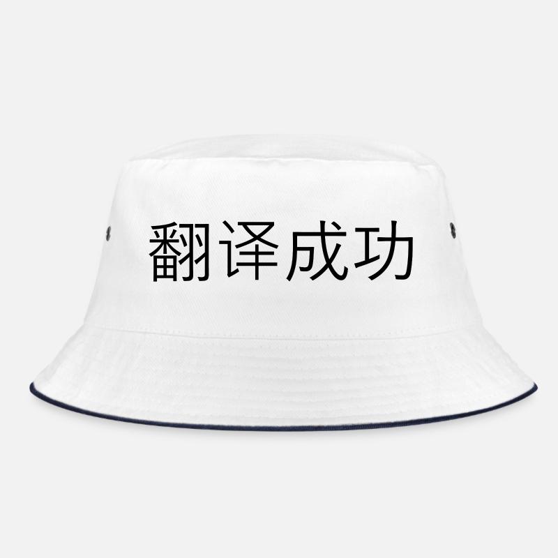 Traduction réussie – 翻译成功 Bob