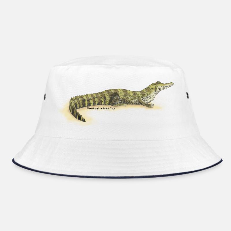 Baba (Caiman crocodilus) - Bob - blanc/marine