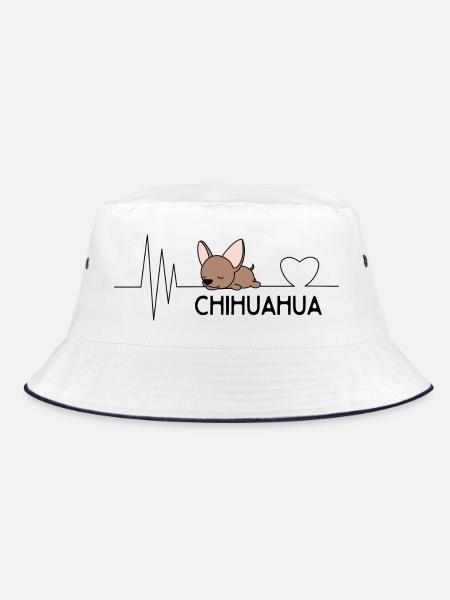 Chihuahua - Bob - blanc/marine - Devant
