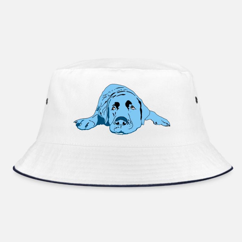 Labrador Bob