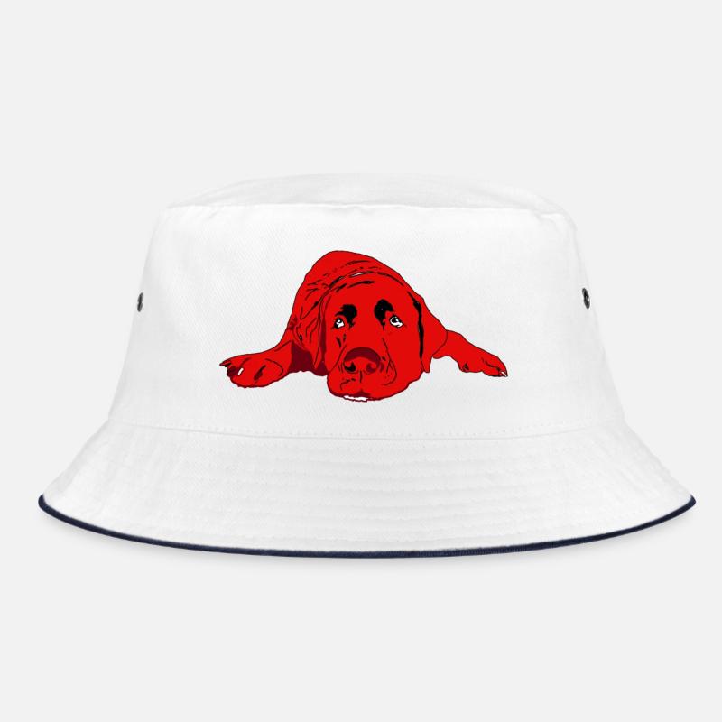 Labrador - Bob - blanc/marine
