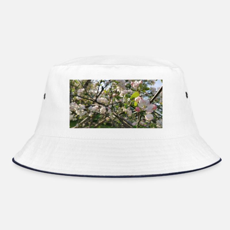 Branches de cerisier en fleurs Printemps Bob