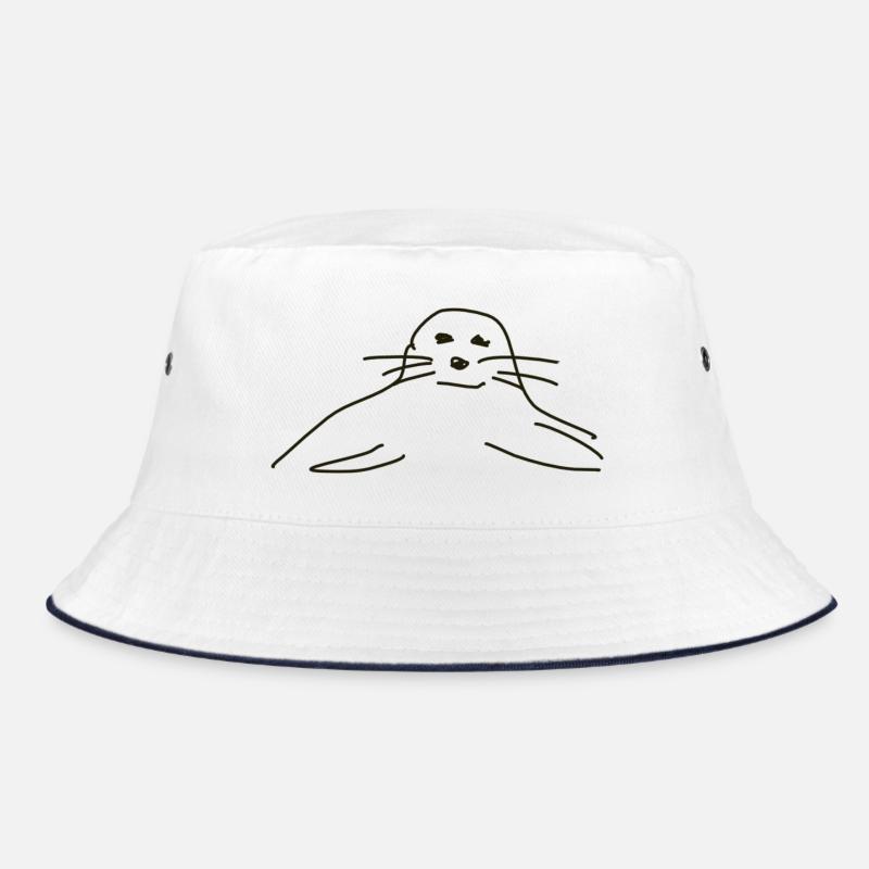 phoques phoques phoques animaux Bob