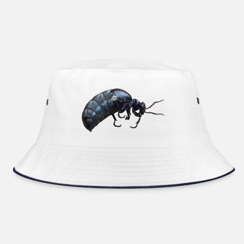 Insecte coléoptère - Bob - blanc/marine