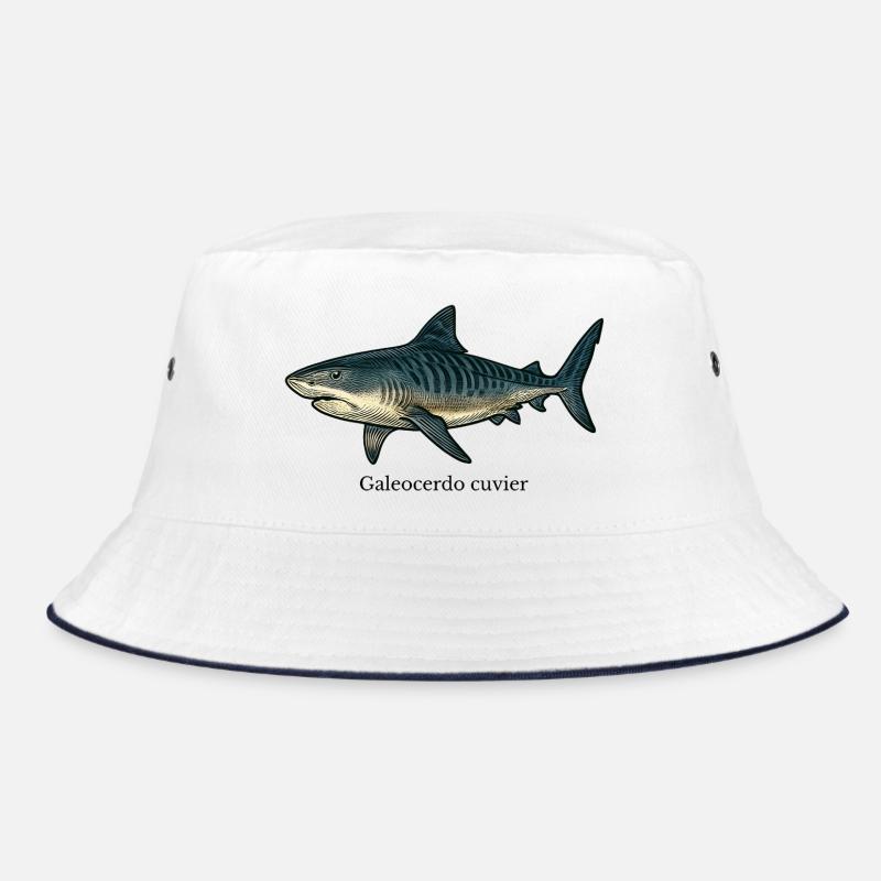 Dessin de requin tigre Galeocerdo cuvier Bob