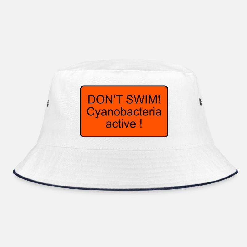 Cyanobactéries Bob