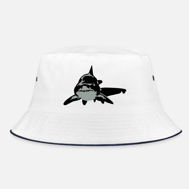 requin Bob