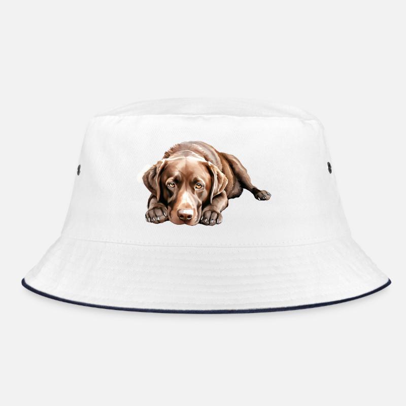 Chien Labrador Retriever Bob