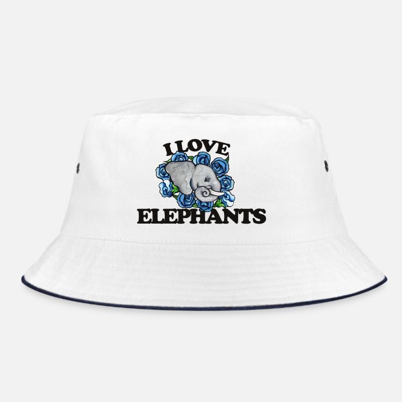 J’adore les éléphants et les roses bleues Bob