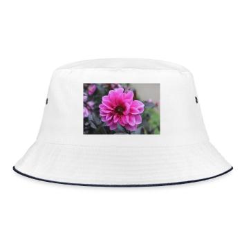 Dahlia rose rose fleur, fleur - Bob - blanc/marine - Devant