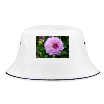 Dahlia rose rose fleur, fleur - Bob - blanc/marine - Devant
