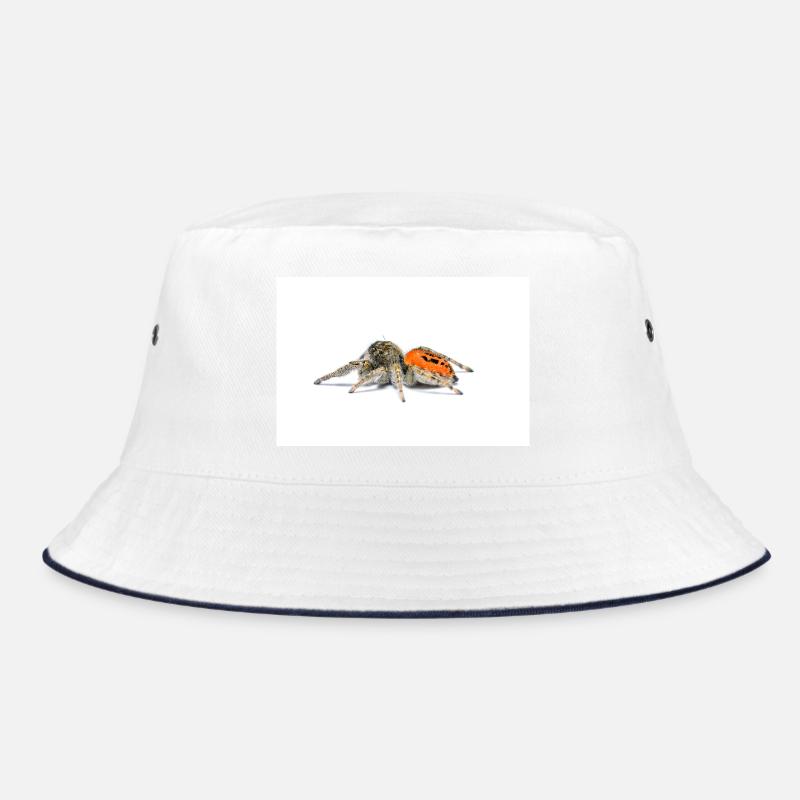 Springspinne Phidippus texanus jumping spider Bucket Hat