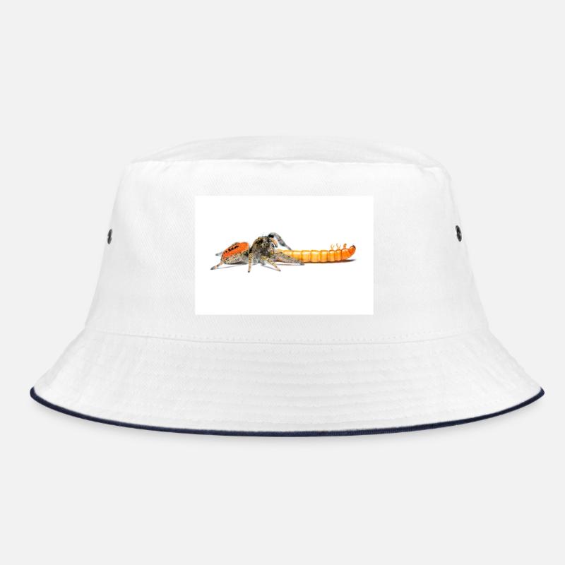 Springspinne Phidippus texanus jumping spider Bucket Hat